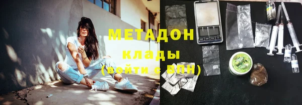 стаф Алзамай