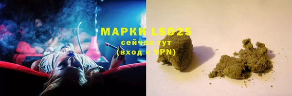 стаф Алзамай
