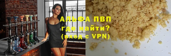 стаф Алзамай