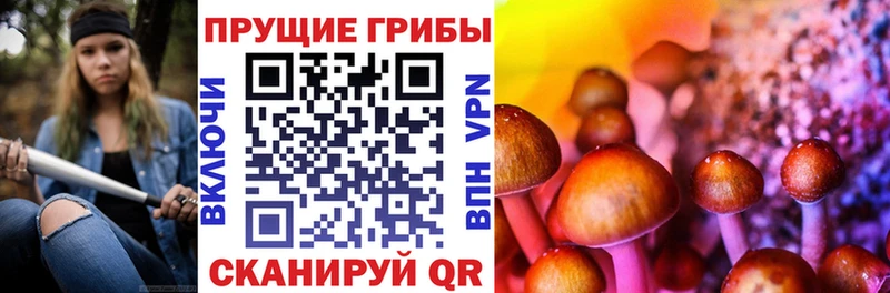 Псилоцибиновые грибы Psilocybe  Новочеркасск 