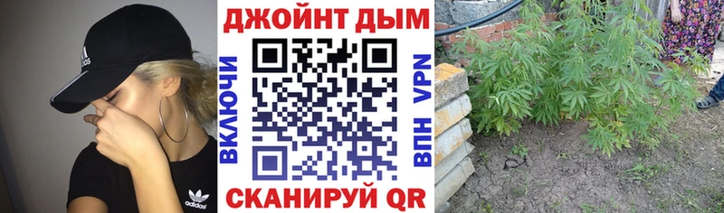 shop состав  продажа наркотиков  Новочеркасск  Бошки Шишки семена 